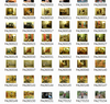 a0060_5.png